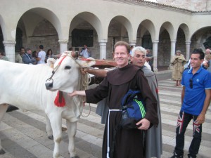 Blesing of animals in Assisi - 1