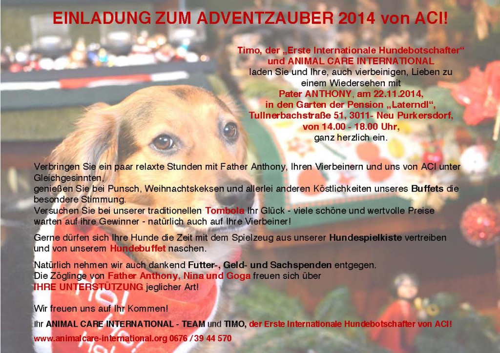 Einladung_zum_Adventzauber_2014